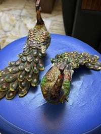 طاووس • حافظة مجوهرات • بغداد