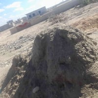 تك رمل • للبيع