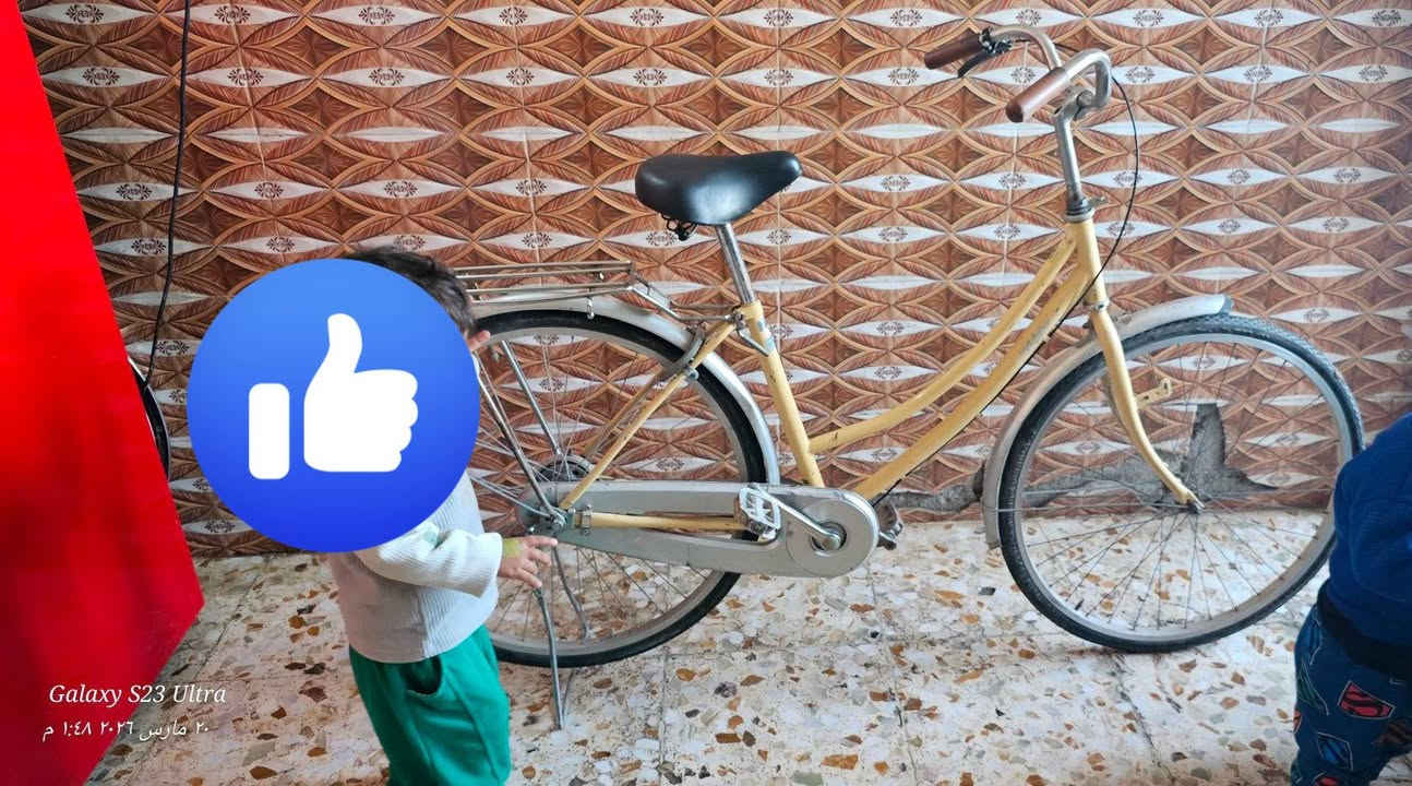 بايسكل بطه حجم ٢٦  للبيع مكاني بابل  السعر ٦٠ وبي مجال


**إذا كنت صاحب هذا الإعلان وتريد حذفه لأي سبب، رجاءا أرسل رسالة إلى الدعم الفني**