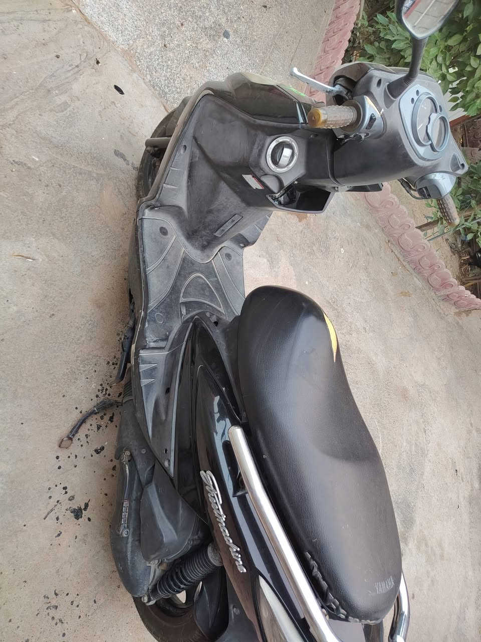 من رخصت الاادمن سلام عليكم سكنس فحل  خطين دراجه جديدة ماشيه 23الف الدرجه كله محسن ودهن موتل  متعبانه من الرنبه مكاني فلكة سلمان باك السعر مليون وخمسميه 1500000 رقمي بيه وتساب ***********
