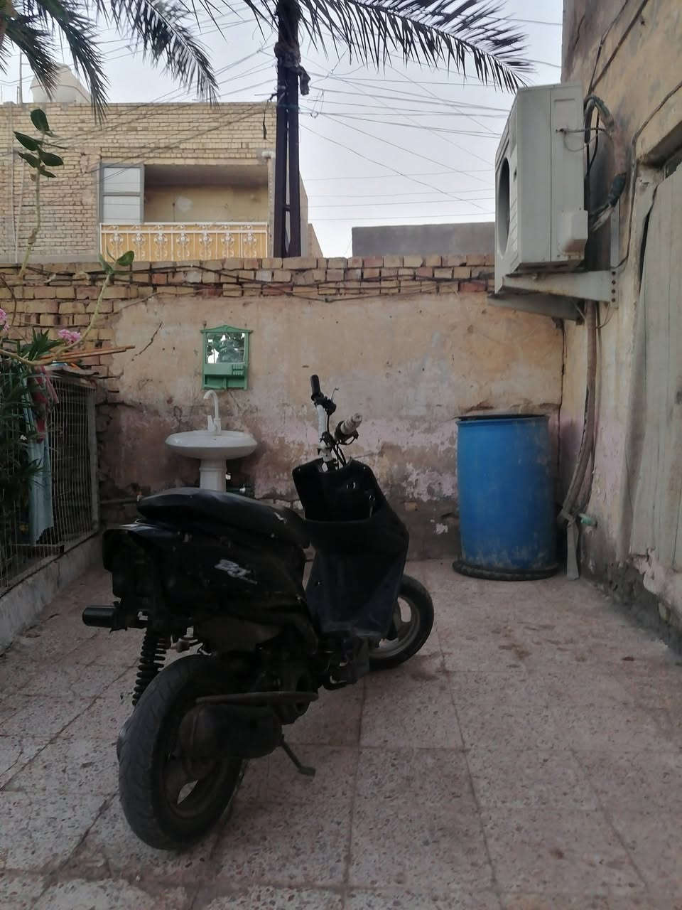 ام ٩ للبيع او مراوس السعر ١٤٥ وبيهة مجال


**إذا كنت صاحب هذا الإعلان وتريد حذفه لأي سبب، رجاءا أرسل رسالة إلى الدعم الفني**