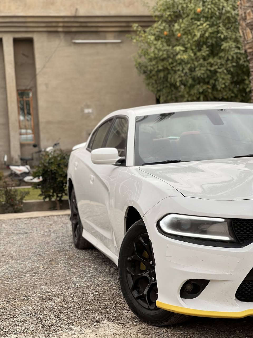 آلسلام عليكم
دوج چارجر للبيع //موديل 2019
رقم اربيل ب اسمي تحويل مباشر
ضرر جاملغ خلفي صبغ  بدون دواخل
بونيد محدث فقط بدون طخه اماميه
موصفات SXT  /محدث GT كت كامل
مكان السياره صلاح الدين الشرقاط
السعر // 218 وبيه مجال// ☎️ ***********
