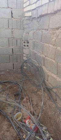 ضفيره للبيع 07707533057