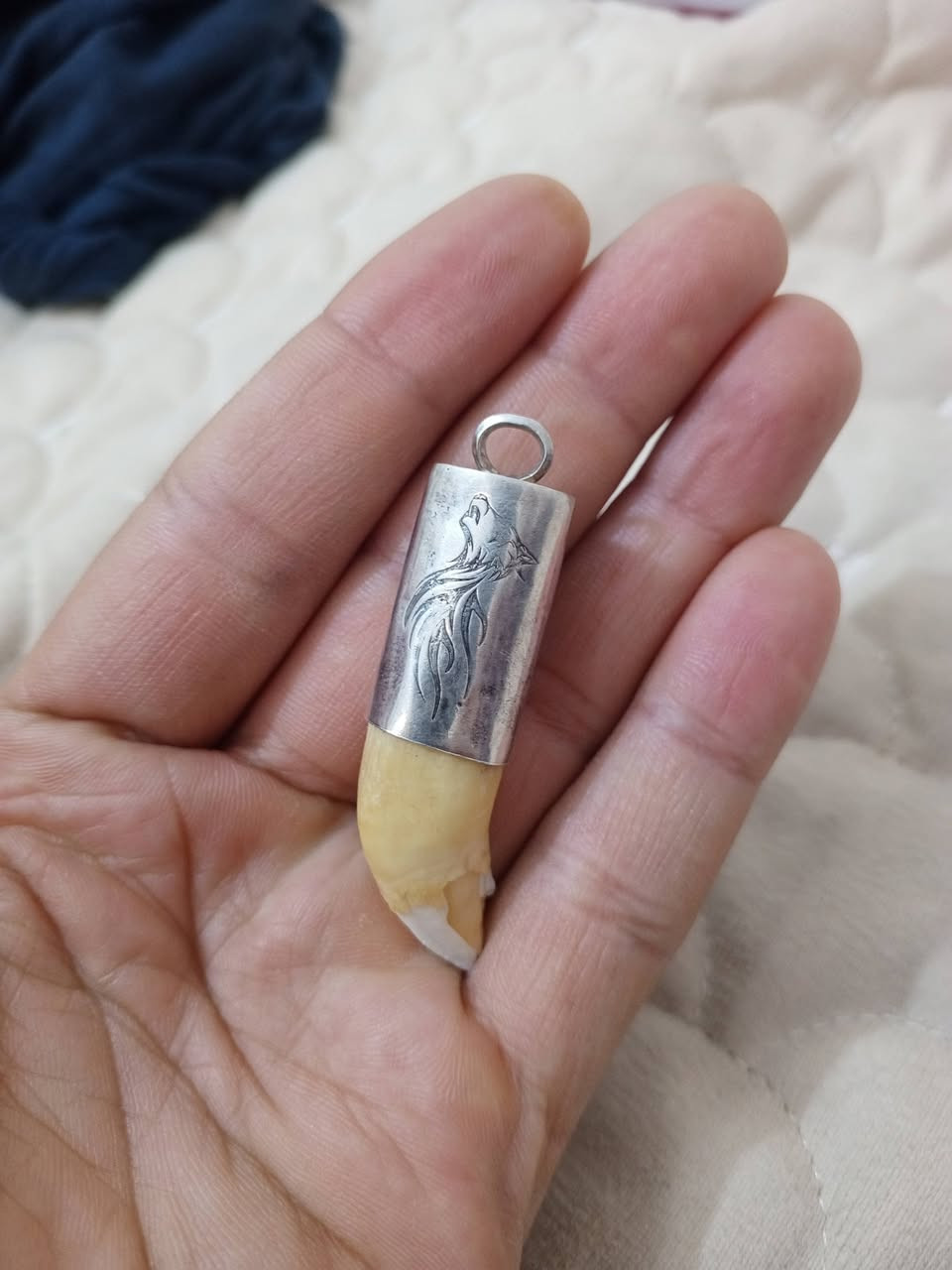 ناب الذيب صياغه فضه منقوش اسماء اصحاب الكهف للبيع او مراوس محابس مكان محافظة ميسان


**إذا كنت صاحب هذا الإعلان وتريد حذفه لأي سبب، رجاءا أرسل رسالة إلى الدعم الفني**