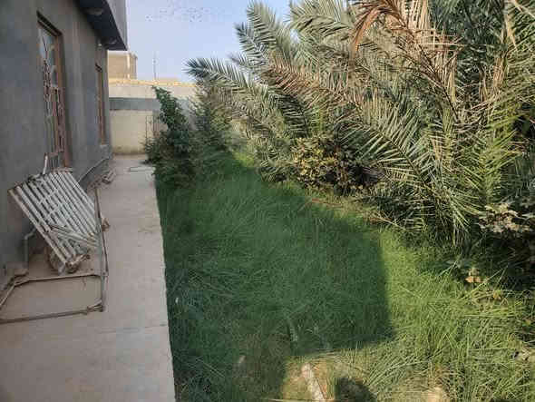 � للبيع بيت زراعي سند 25 مداور – مباشر بإسم المشتري
📍 الموقع: السنية / عمود 705 مقابل الشيخ حسين السلامي

✨ تفاصيل العقار:

 • المساحة الكلية 500م
 • مساحة البناء 300م
 • بناء طابوگ ونص بلوك بحالة نظيفة جداً
 • الأسس صب كونكريت والسقف صب كونكريت
 • يتكون من: 3 غرف نوم + صالة + مطبخ + برّاني + صحيات
 • خدمات كاملة: تبليط / ماء / كهرباء

📞 للاستفسار والتواصل:
*********** – ***********
