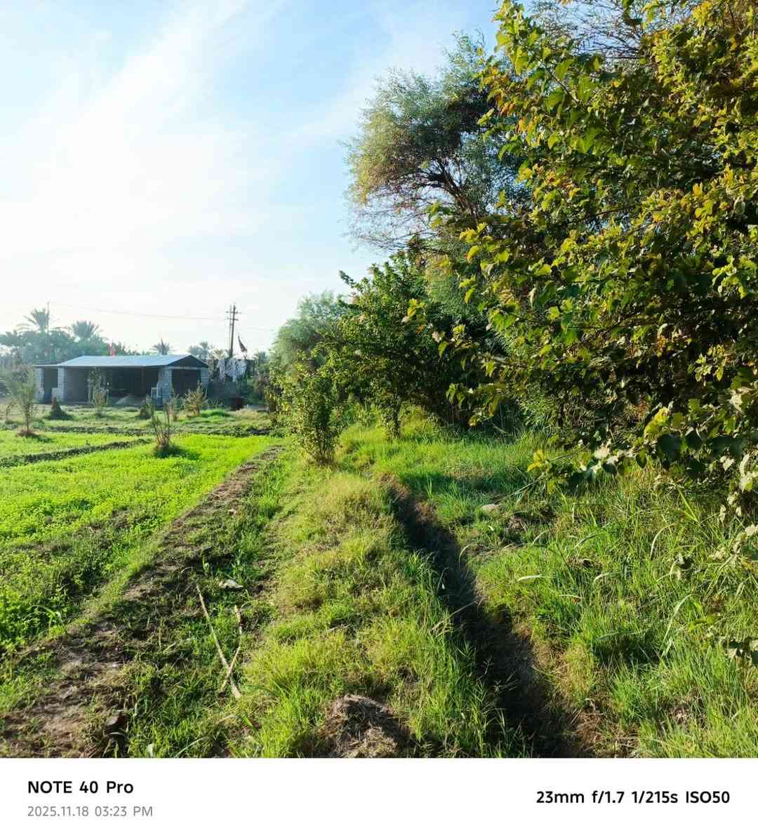 بستان للبيع ٢ دونم طابو سند ٢٥ عزيزيه برينج الكطع طريق الزوار بداية الكطع وجه على التبليط ماء سقي من الشط مباشر وكهرباء وماء اساله للاستفسار ***********
