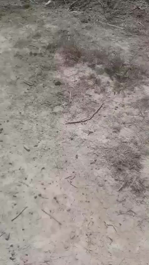 سلام وعليكم متابعين الكرام يعلن مكتب ام القرى عرض ألف متر طابو سند 25 العنوان منطقة إلا نتصار مقابيل مستشفى حماد شهاب طريق الحسينية الشعب ستفسار أكثر اتصال ***********(اعلان رقم 35) سعر مناسب
