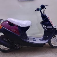 بوتين • فول تك • معمر