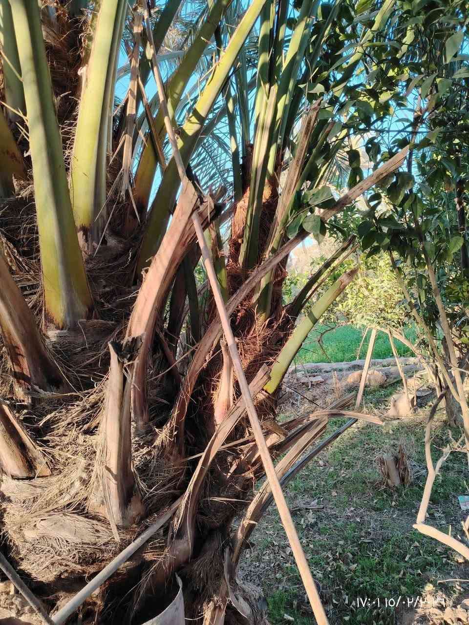 تالات برحيه للبيع 
المكااان /الدولاب 
للاستفساار  تواصل مع رقم صاحبهن
***********
