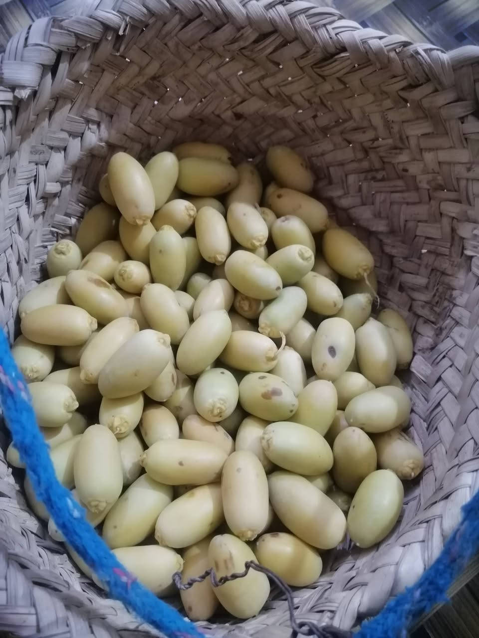 السلام عليكم خلال حلاوي
السعر ٢،٥٠٠ 
ابي الخصيب .جيكور


**إذا كنت صاحب هذا الإعلان وتريد حذفه لأي سبب، رجاءا أرسل رسالة إلى الدعم الفني**