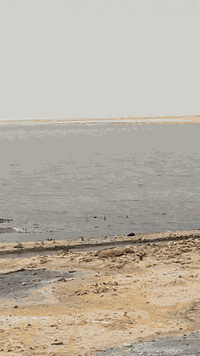 سلام عليكم ستوته للبيع مديل ١٦ ستوته أوراق وكيل حيدر جبريل ثاني يوم مداور شاصي كفاله عامه ستوته ماعايزه برغي تعمير كله٢٥ سعر 1750مكاني نجف رقم ***********
