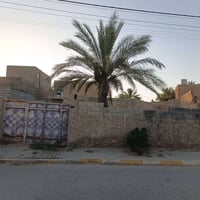 ٥٠٠م • طابو • البكر الغربي