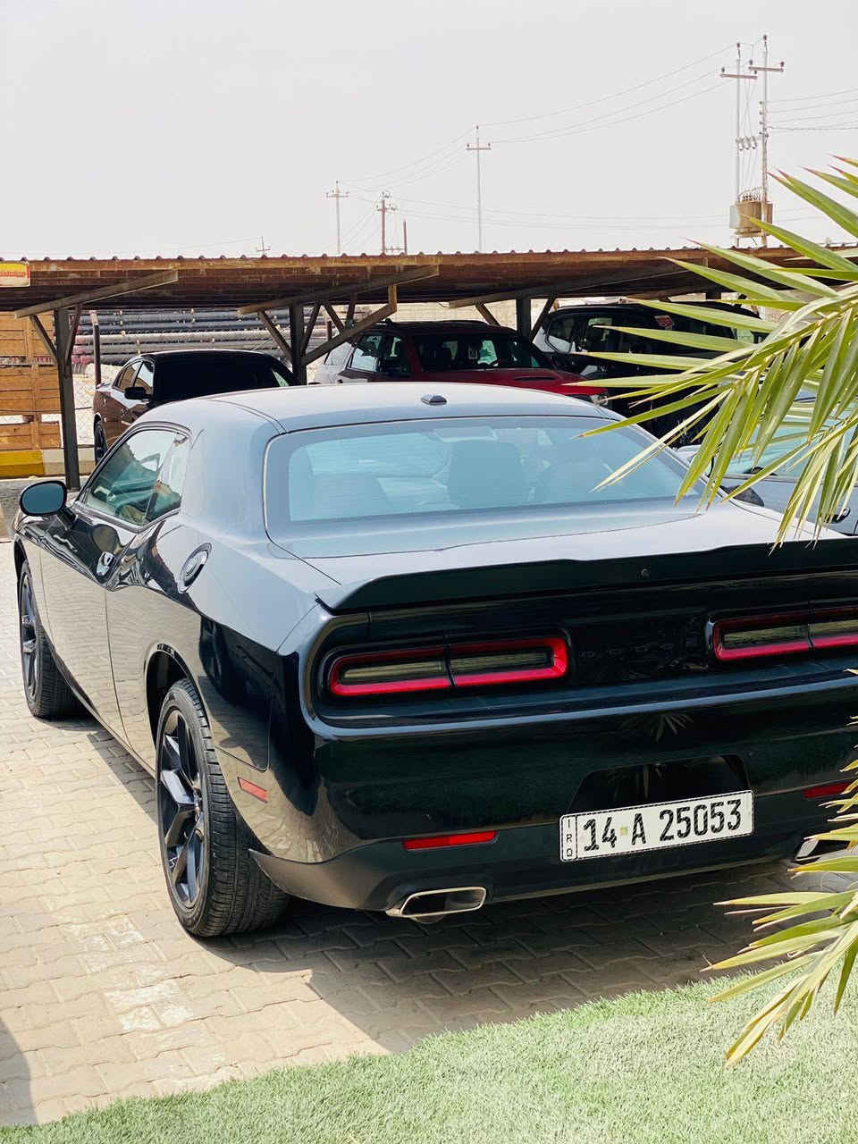 السلام عليكم
🔹 للبيع: دودج تشالنجر – Dodge Challenger
🔹 الموديل: 2023
🔹 الفئة: SXT
🔹 الممشى: 20,000 كم فقط
🔹 المحرك: 6 سلندر
🔹 التسجيل: رقم بصرة – مسجلة شهر 7 / 2025
🔧 الحالة والصيانة:
تبديل دهن منتظم كل 5,000 كم
الدهن من نوع كاسادو
ماء الراديتر أصلي (من الشركة)
بيها دعمة خفيفة 
البدن نظيف وما ملعوب بيه
📍 العنوان: البصرة – أبو الخصيب
👤 أبو الجوزي
📞 للاستفسار والاتصال:
***********
💰 السعر: 233
بيها دعمة خفيفة بالعرضانية
البدن نظيف وما ملعوب بيه
📍 العنوان: البصرة – أبو الخصيب
👤 أبو الجوزي
📞 للاستفسار والاتصال:
*********** البصرة, العراق
