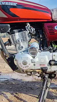 سيفان • مديل ٢٠٢١ • بدون أوراق