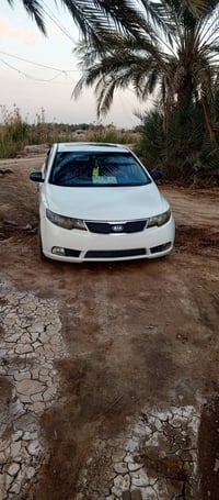 سيراتو • ٢٠١٢ • حزام