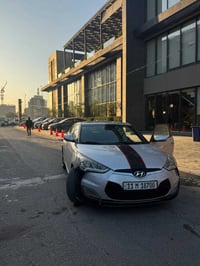 فيلوستر • ٢٠١٧ • وارد امريكي