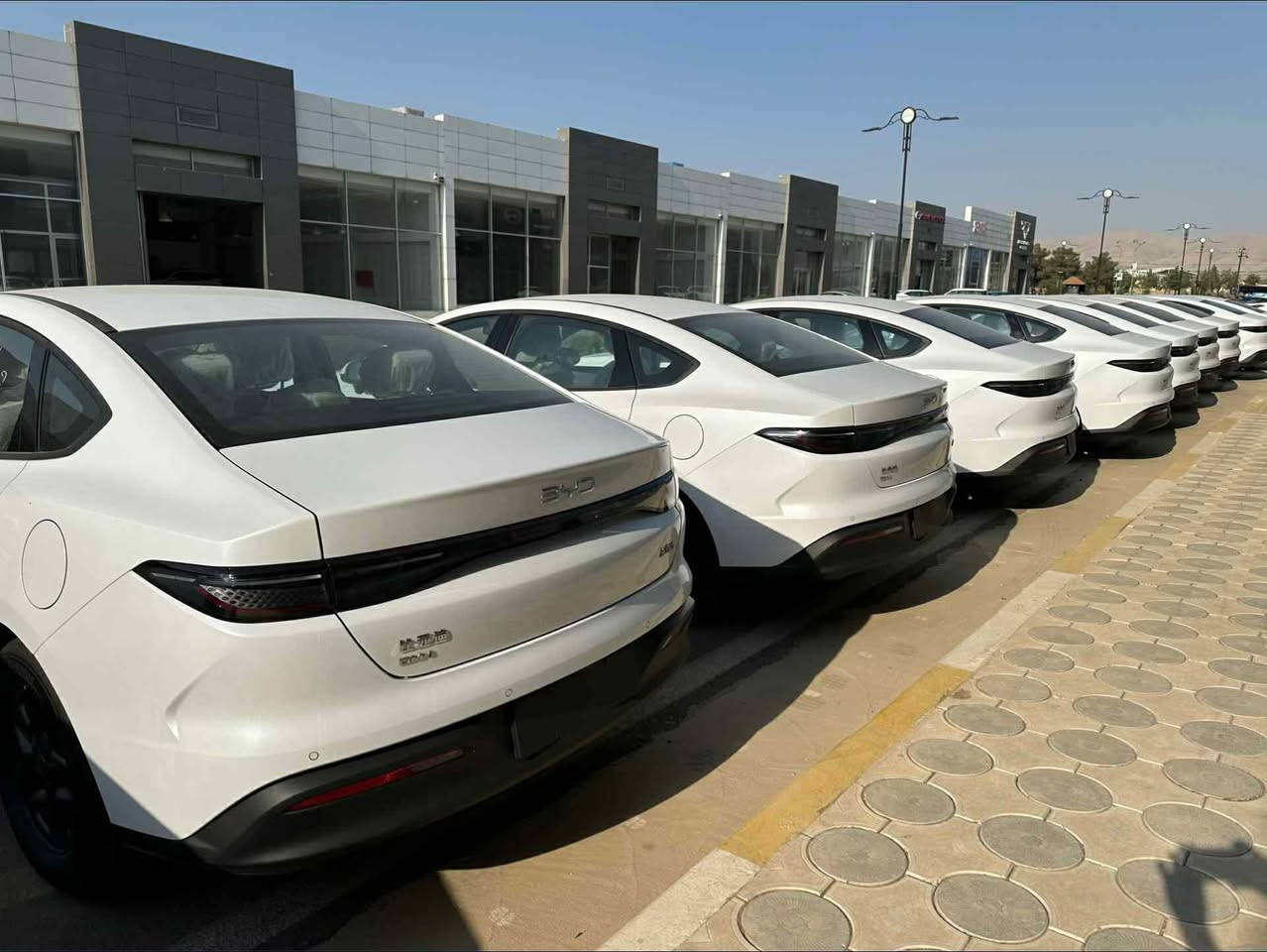 ✨✨✨سڵاو لە هەموو ئازیزانی چۆمانی حاجی فایەق ✨✨✨

***********

دەتەوێ سەیارەی دڵخوازت بکڕیت ؟ ✅
بە هەرزانترین نرخ و بێ هیچ زیادەیەک ؟ 🈯️✅
لای ئێمە بەردەستە هەموو جۆرە ئێمجییەک بە هەرزانترین نرخ لە تەواوی بازاڕی ئۆتۆمبێلدا 🤍😍

ناوی کۆمپانیا : بی وای دی 
جۆری ئۆتۆمبێل : سیێڵ سفر پێنج 
جۆری سلندەر : ١٥ و هایبێرد و کارەبای تەواو ( پاتری گەورە )
ساڵی بەرهەمهاتوو : 2025
کیلۆمەتری ڕۆشتوو : سفر کیلۆمەتر
ڕەنگی ئۆتۆمبێل : سپی سەدەف
مواسەفات : ( سێ مۆد لێخوڕین ( کارەبا + کارەباو بەنزین + بەنزین- شاشە ئەلیکترۆنی - کوشن جلد - کامێرا و حاسە - ناو بێجی  - برێک کارەبایی - ئۆتۆ هۆڵد - شاشە دیجیتاڵ - دیاریکردنی خێرایی - سوکان ڤۆلیۆم - گێڕ سپۆڕت - ئیکۆنۆمی - تایە و وویل ١٦ - ئاوێنە ئیشارەت - لایت لیدی پێش و دوا - لێزەری فول ( شەریکە ) .
مۆبایل : ***********
نرخ : هەرزانترین نرخ
ناونیشان : سلێمانی 

ژمارە کاتی  3 مانگی لەگەڵە✅‼️

تێبینی بۆ کڕیارانی ئازیز : بە داوای لێبووردنەوە هیچ جۆرە مامەڵەیەکی قیستمان نییە ، زانیاری تەواو نووسراوە تکایە لە هەر جێگەیەک دەتەوێ سەرپشکن و بۆ مناقەشە تەلەفون مەکەن گەر کڕیارن السليمانية, العراق
