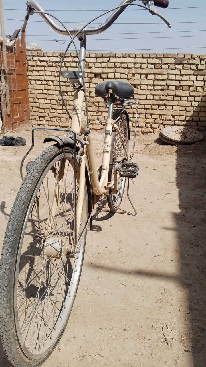 بايسكل للبيع
بايسكل كفالة 
ما صارله جم يوم نازل حاويه
نضافته 99/100
موديل 2019
بعده بتراب الحاوية
سعر خاص📝


**إذا كنت صاحب هذا الإعلان وتريد حذفه لأي سبب، رجاءا أرسل رسالة إلى الدعم الفني**