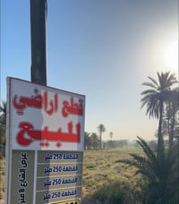 حله الوردية • ٢٥٠م • سند ٢٥