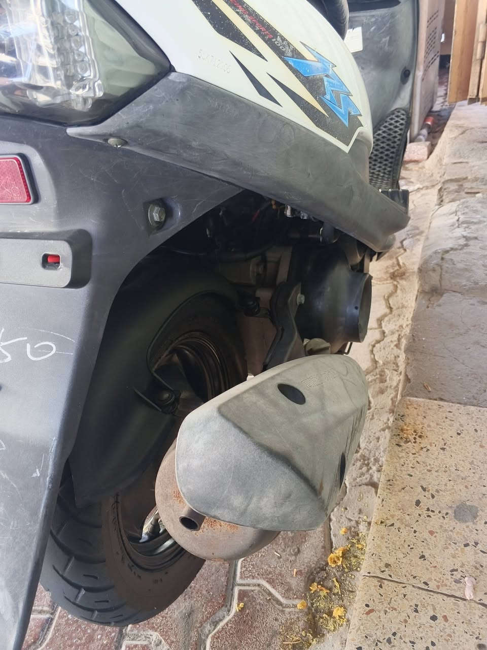 ماكس عدله رمبه بحالها الوكالة ثاني تبديله دهن بعدهي بل جيس
وترهم مراوس ***********
