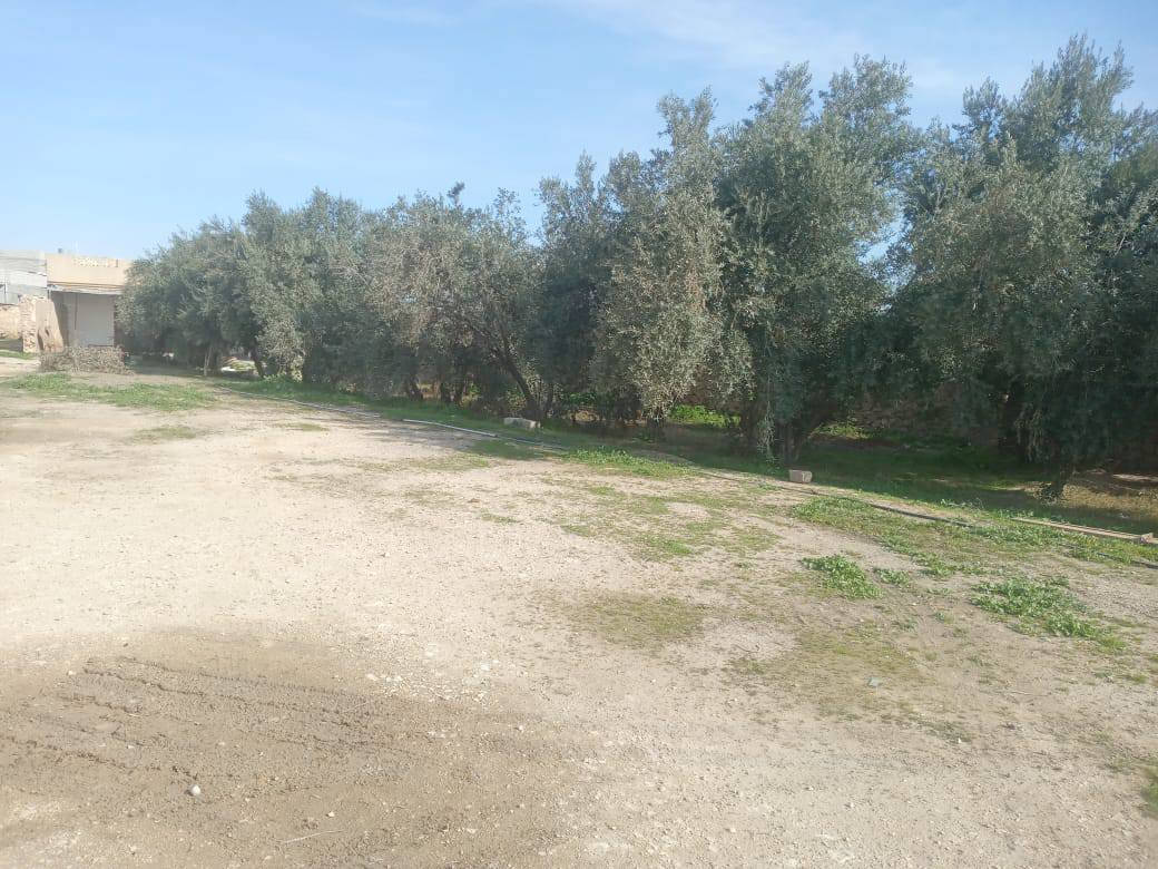 للبيع اراضي مع بيت
تقريبا نصف دونم
سعرها سعر خاص 
 رقم تلفون***********
مو شرعي لا تخابر رجاء
