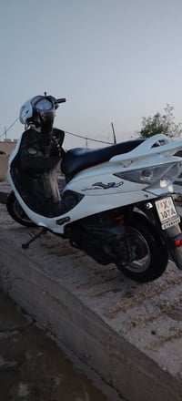 فحل • ١٥٠ • ٢٠١٦