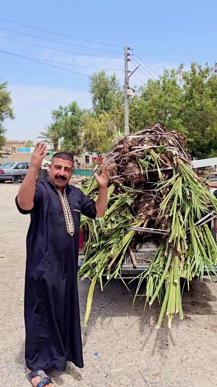 44 فسيله بريم الزوج 150 البيع


**إذا كنت صاحب هذا الإعلان وتريد حذفه لأي سبب، رجاءا أرسل رسالة إلى الدعم الفني**
