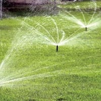 ديكور بيت • حديقة