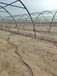 بيوت بلاستيكية • ٢٤قوس • ٥٦×٩م