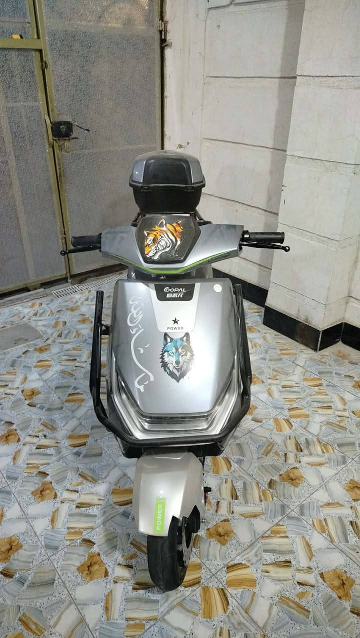 السلام وعليكم اخوان دراجه جوبال باور مديل 2025 للبيع  6بطاريات ليثيوم  كفاله عامه ما عده الجاملغ الامامي مضروب شويه دراجه فول مواصفات كلشي شغال المواصفات.         لايت عالي ناصي.   دبل اشاره.   اشاره يمنه يسره.   هورن شغال.   بيه ميزه P.      تايره وره جديد وياه جوب هديه.   جنطه هديه ويه الدراجه.   مرايات جدد. دبلات فول الدراجه فول موصفات كل شي ب الصور وتحياتي الكم العنوان اليوسفيه قصر الاوسط السعرر(800)واني ماخذه ب (ب مليون وميتين)للستفسار:***********
