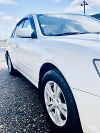 سوناتا • ٢٠٠٩ • بدون صبغ