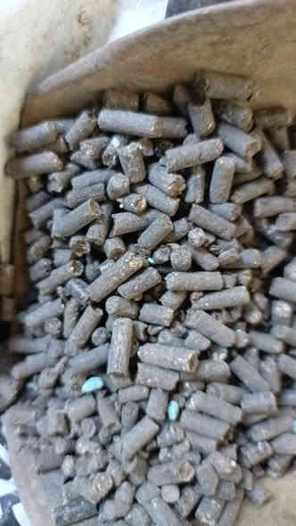 متوفر سماد عضوي مستخلص من عصارة دمن الطيور مع اضافات احماض امينية وهيومك
شكله: حبيبات/ يناسب النثر والخلط مع التربة.
يحتوي على مادة عضوية (كمبوست مجفف و مادّة هاموسية) و يحتوي مضافات مثل حمض هيومي/فولفيك و حبيبات مغذّية خفيفة —

الفوائد 
يزيد محتوى المادة العضوية في التربة.

يحسّن بنية التربة والتهوية واحتفاظها بالماء (مفيد للتربة الرملية والطينية).

يعزّز النشاط الميكروبي المفيد (بكتيريا وفطريات مفيدة).

. سماد نايتروجيني عالي 

. تأثيره بطيء وممتد لفترات طويلة 

. يفضل اضافتة مع الكبريت الزراعي وقبل اعطاء سماد NPK لانهُ يساعد النباتات والاشجارعلى امتصاص الاسمدة بسرعة
كيفية الاستعمال —
. يخلط مع التربة قبل الحراثة عند تهيئة التربة

. يضاف باستمرار مع الاراضي المزروعة

: الجرعات
. تعطي ٥٠  كيلو  للدونم مع الحراثة
. نثر من ١٠ الى ٢٥  كيلو بعد الزراعة ويفضل مع الاسمدة المركزة او قبلها لزيادة امتصاص النباتات

الأشجار المثمرة عند الزرع:
: اخلط 1–3 كغ داخل حفرة الغرس لكل شجرة صغيرة.

صيانة شجر قديم : ٤  كغ حول محيط الجذور للسنة حسب عمر الشجرة 
. النخيل الضعيف بالنمو والاثمار  من ٦ الى ١٠  كيلو حول جورة النخلة يفضل تقليبها مع التربة قبل السقي 
خليط التربة للاصيص
اخلطه بنسبة 10% – 30% من حجم التربة (مثلاً إذا عندك 10 لترات تربة، أضف 1–3 لترات من المنتج).

يمنح توازنًا عضويًا ويقلل الحاجة للأسمدة السريعة.

هو مكمّل عضوي، يمكن استخدامه مع أسمدة معدنية (N-P-K) لتقليل الكميات وزيادة الفعالية

لا تخلطه مع محاليل مبيدات/أسمدة كاوية دون اختبار التوافق.
 
كيس وزن ٢٥ كيلو
السعر ٣٣  الف
يوجد حجز و توصيل 
هاتف / ***********
