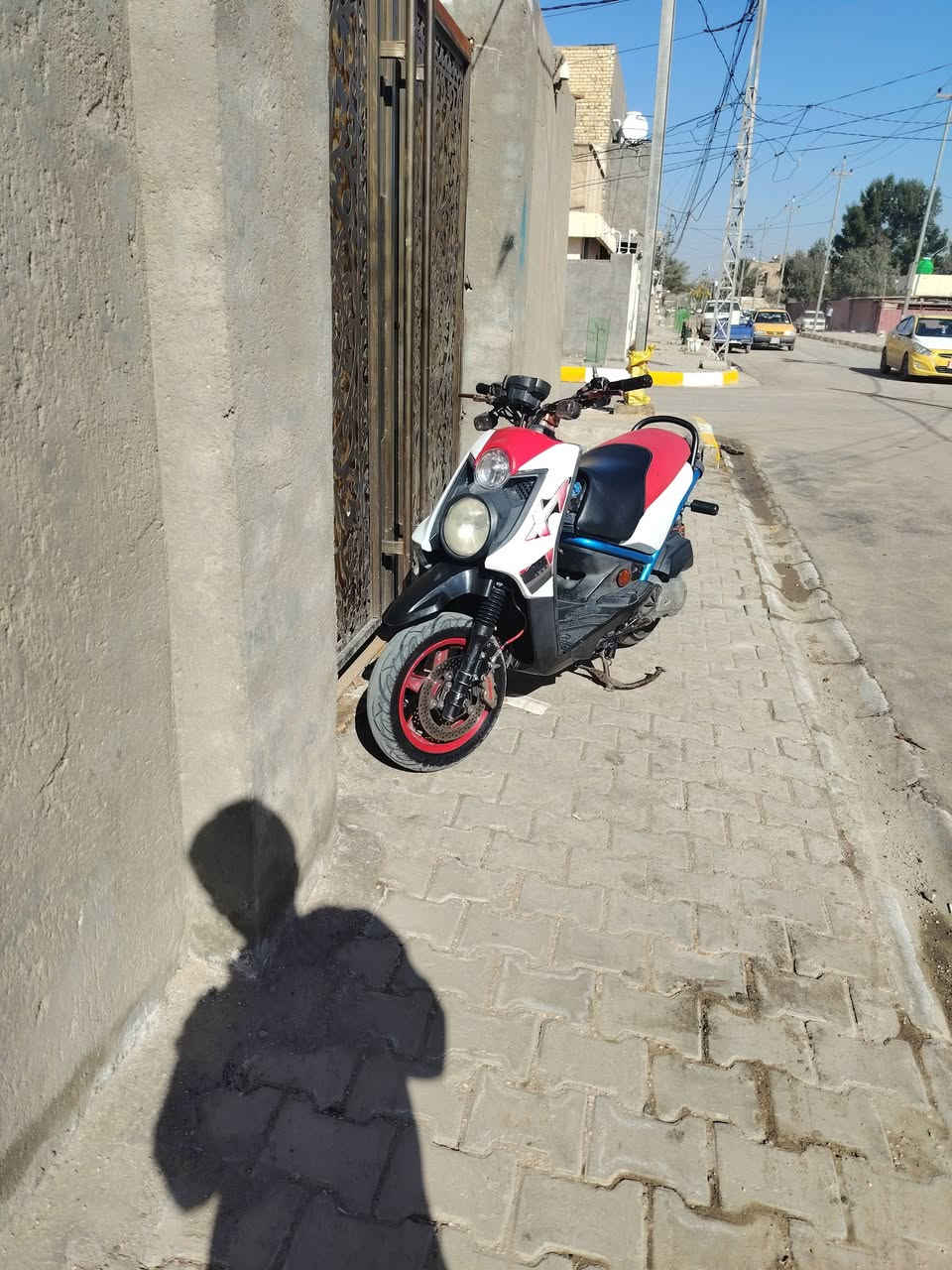 لبيع سكنس جبلي تفاصيل لباقي عل خاص ***********
