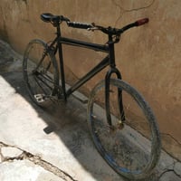 بسكليت • قيس ٢٦ • يحتاج بيلية