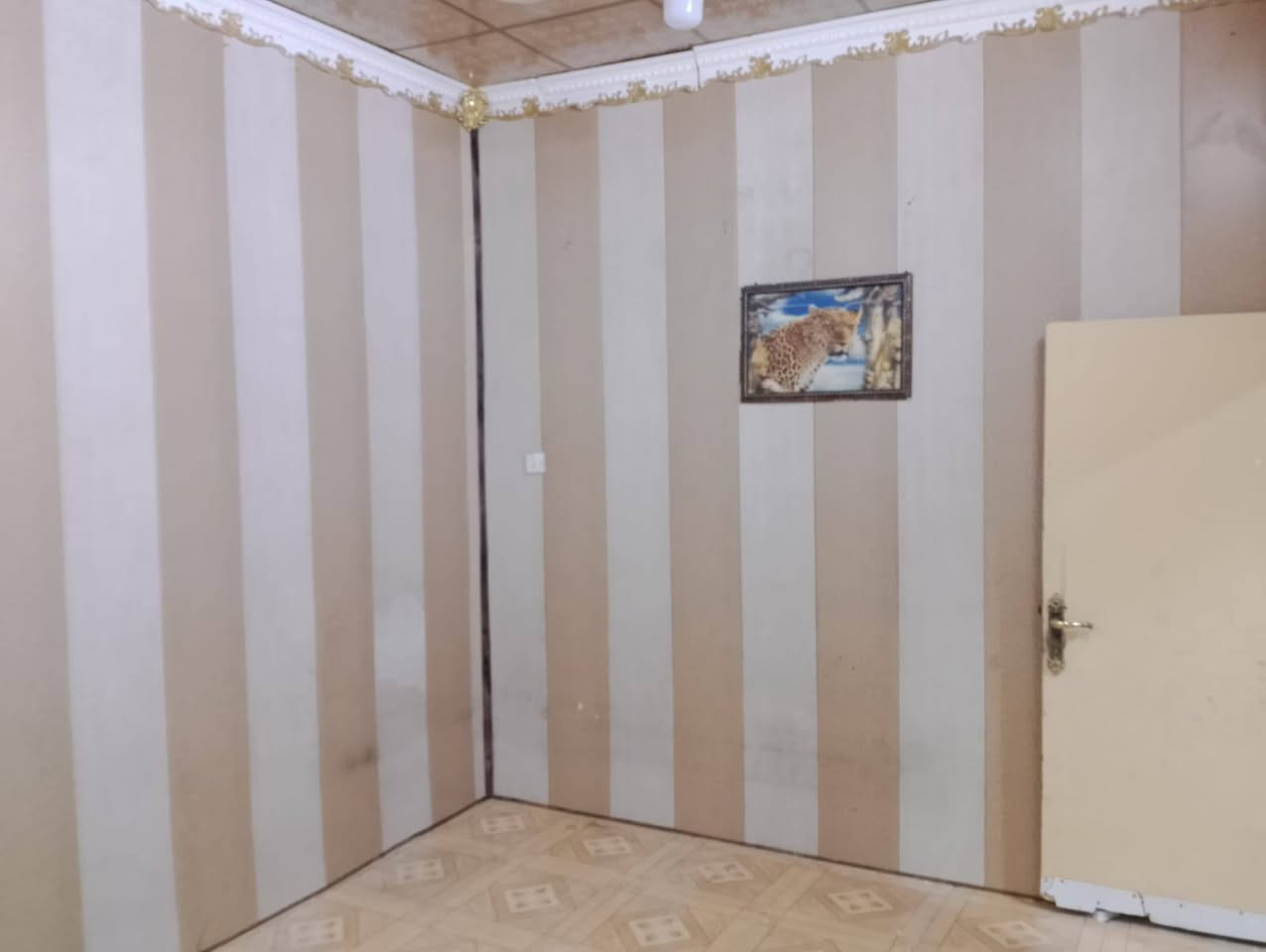 السلام عليكم
بيت اليجار 
جمهوريه 
غرفه موزع وستقبال ومطبخ وصحيات وطارمه وسطح 
يجاره قفل 400
***********
