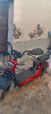 دراجة شحن • حجم ١٤ • بطارية وحدة تعبانة