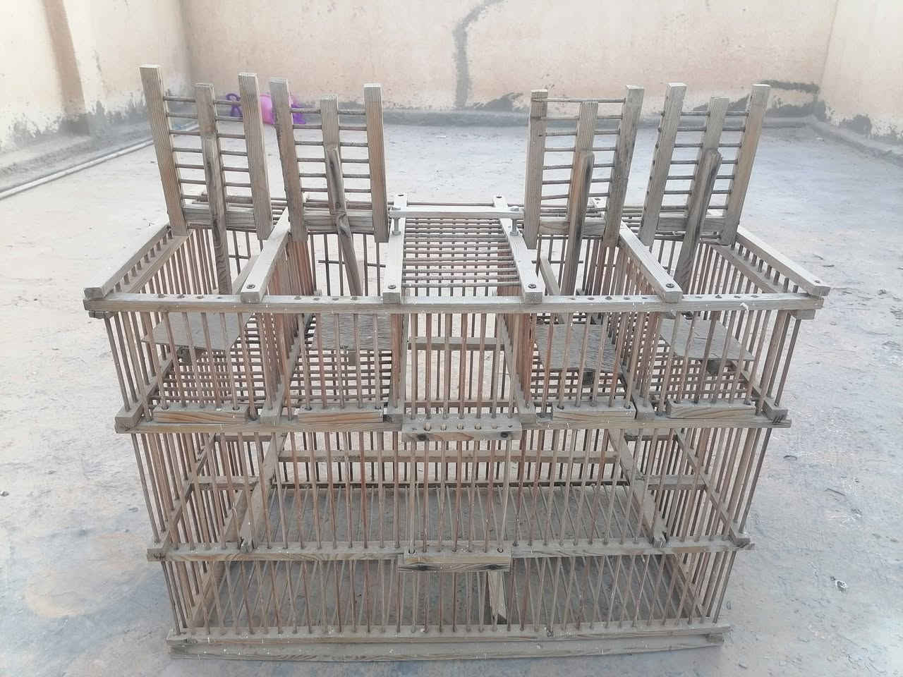 قفص صياد بلابل 4 خانات صيد
السعر 35
*********** متوفر
