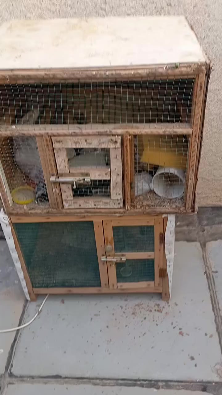 السلام عليكم خانات عدد ٣ مستعملات  مكان بصرة امن الداخلي سعر ٣ ب ٢٥


**إذا كنت صاحب هذا الإعلان وتريد حذفه لأي سبب، رجاءا أرسل رسالة إلى الدعم الفني**