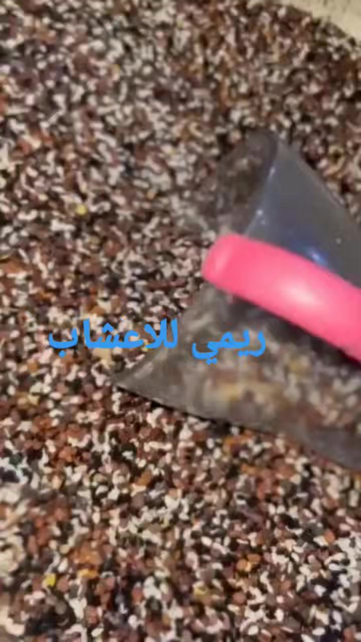 خلطه زيوت الانبات وتطويل الشعر 
كثافه ..ونعومه   .وطول طبيعيه ١٠٠%أمنه للأطفال والحوامل متوفر جميع انواع الزيوت


**إذا كنت صاحب هذا الإعلان وتريد حذفه لأي سبب، رجاءا أرسل رسالة إلى الدعم الفني**