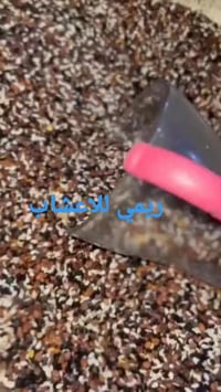 خلطة زيوت • تطويل الشعر • آمن للأطفال والحوامل