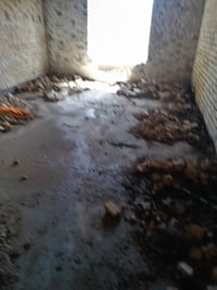 كادر جاهز • تنظيف بيوت • تنظيف حدائق