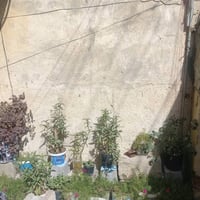 الزعفرانية محلة ۹۷۰ • ١٤٤م • طابو سند مستقل