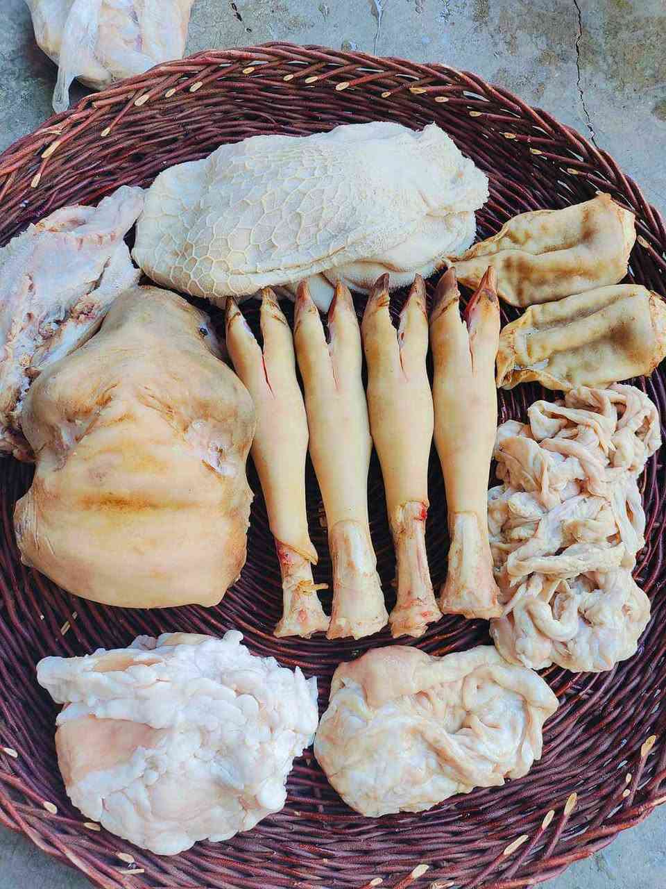 سه ر و بيي شا ز بؤ نا و مه نجه ل ***********
١٠ هه زا ر سه ر و بيي كؤ لك به ر ده سته السليمانية, العراق
