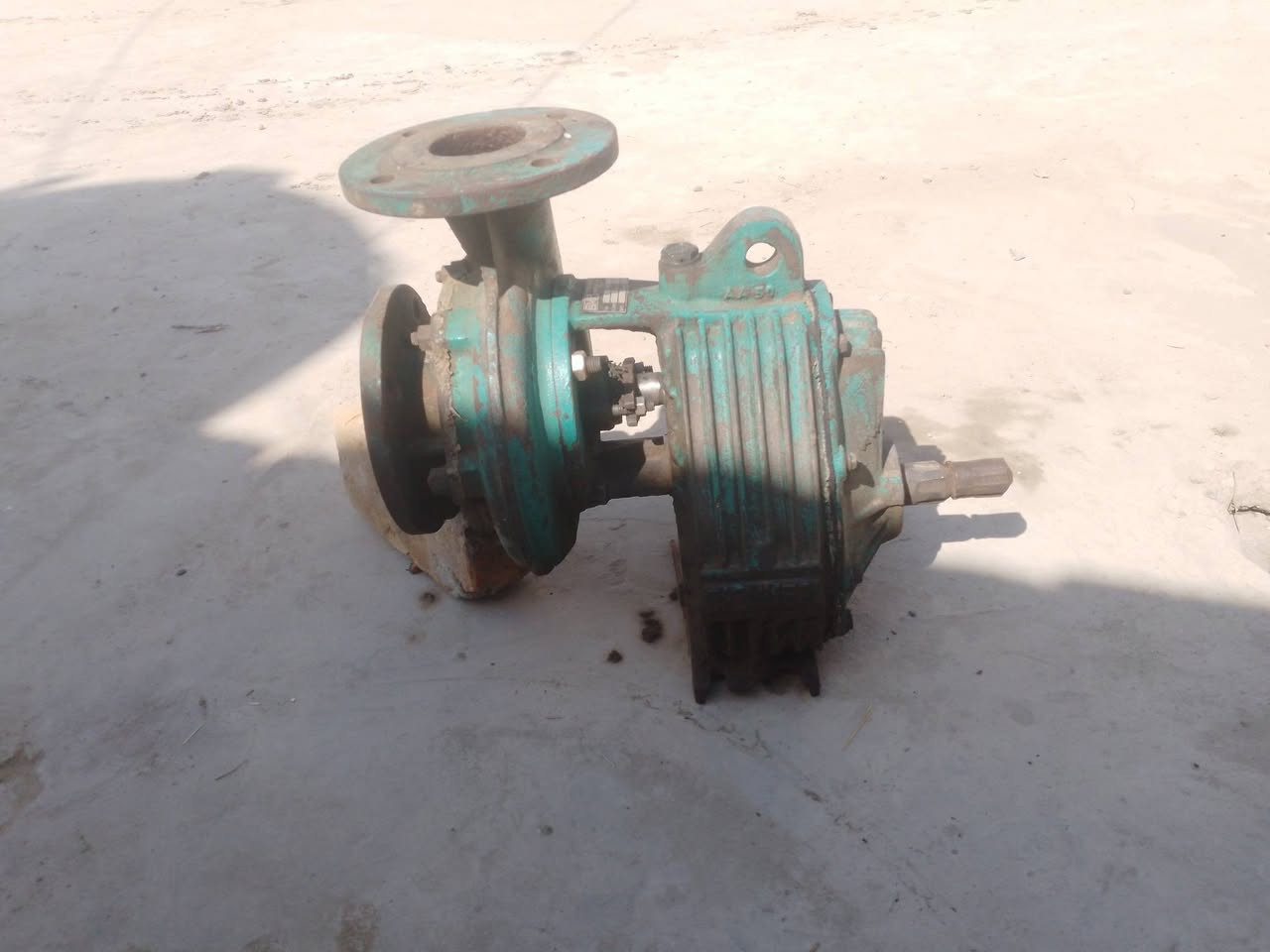 خنزيرة البيع ضقط عالي ***********
