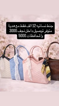 جنط نسائي • تصميم راقي • نجف