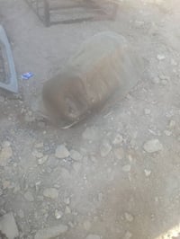 للبيع ٠٧٨٣١٦٢٥٢٠٠