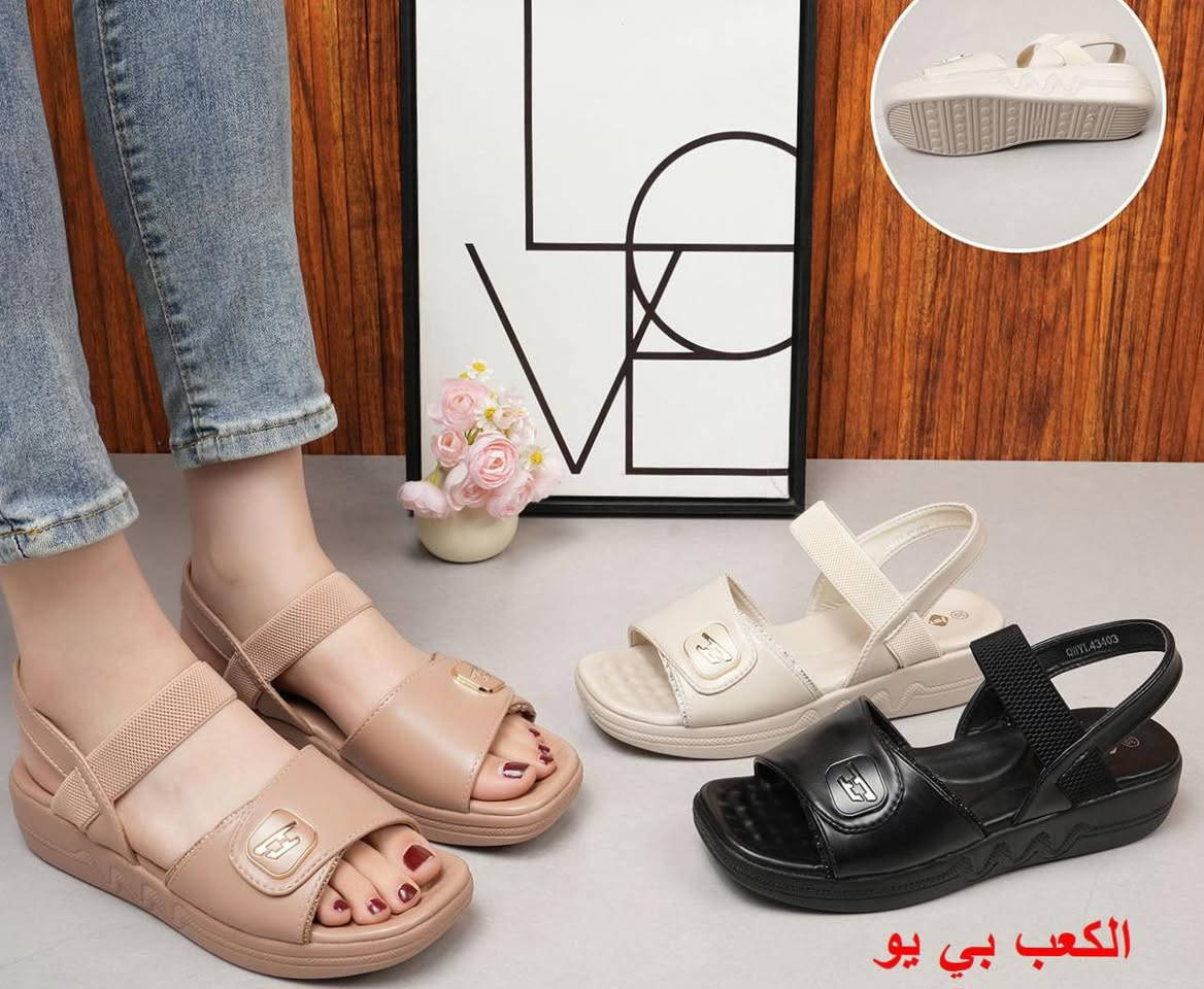 صندل نسائي طبي


**إذا كنت صاحب هذا الإعلان وتريد حذفه لأي سبب، رجاءا أرسل رسالة إلى الدعم الفني**