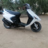 فراشة • فحل