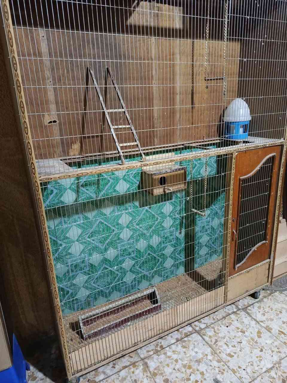 قفص مال طيور الحب للبيع مكاني مدينه الصدر


**إذا كنت صاحب هذا الإعلان وتريد حذفه لأي سبب، رجاءا أرسل رسالة إلى الدعم الفني**