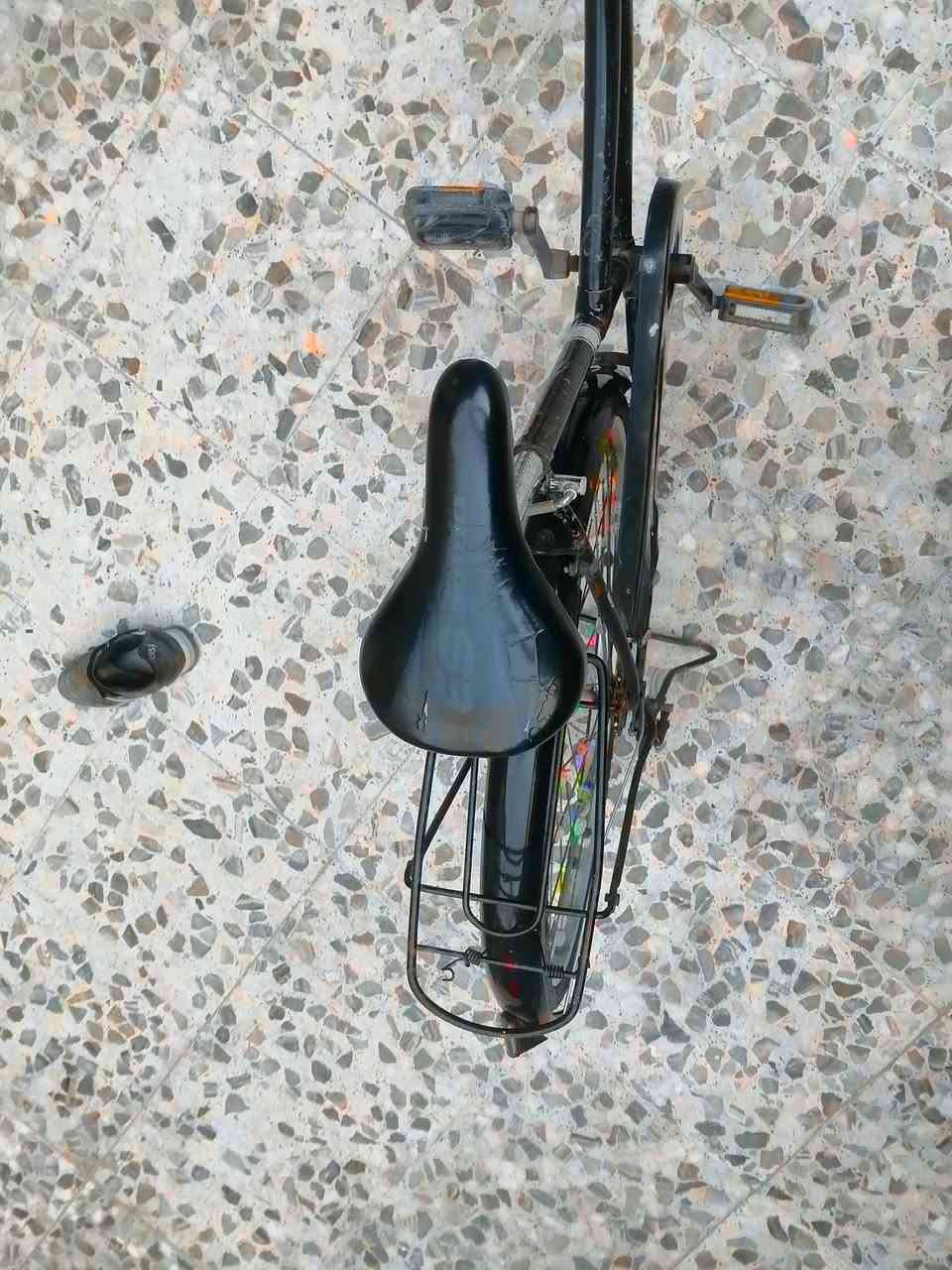 باسكل  للبيع السعر 25 بس كشن ما ويا


**إذا كنت صاحب هذا الإعلان وتريد حذفه لأي سبب، رجاءا أرسل رسالة إلى الدعم الفني**